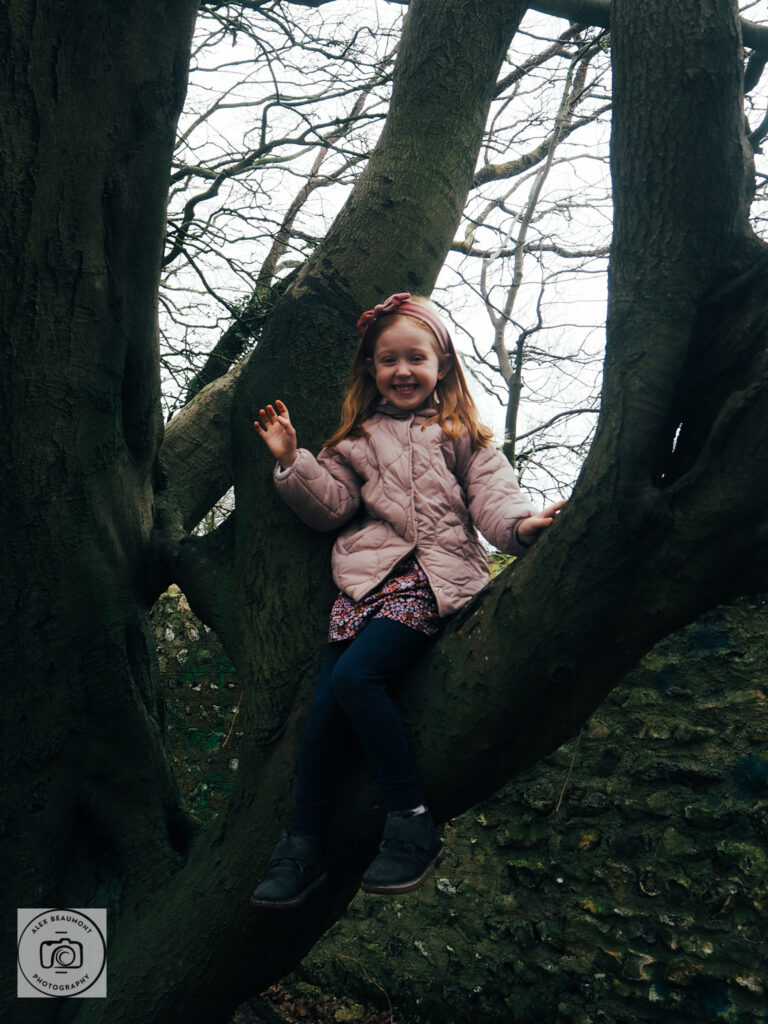 Little girl sitting in tree
