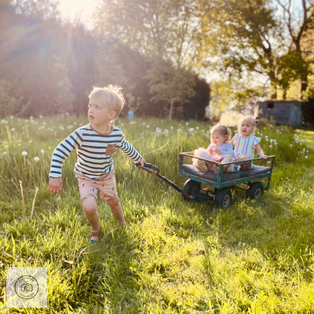 Child pulling toddlers in cart in a wild meadow garden