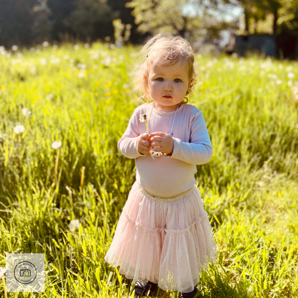 Toddler standing holding dandelion