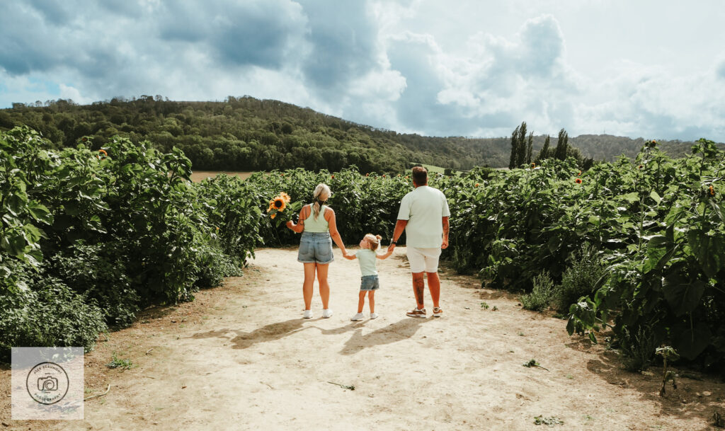 Mum, Dad and toddler holding hands in sunflower field looking at hills