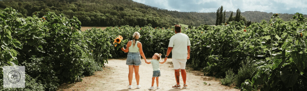 Mum, Dad and toddler holding hands in sunflower field looking at hills
