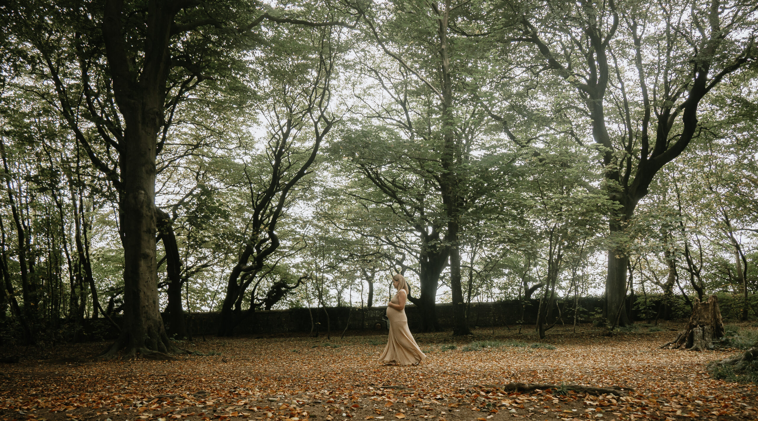 A Family Morning at Stanmer Woods: Beso Family Maternity Session